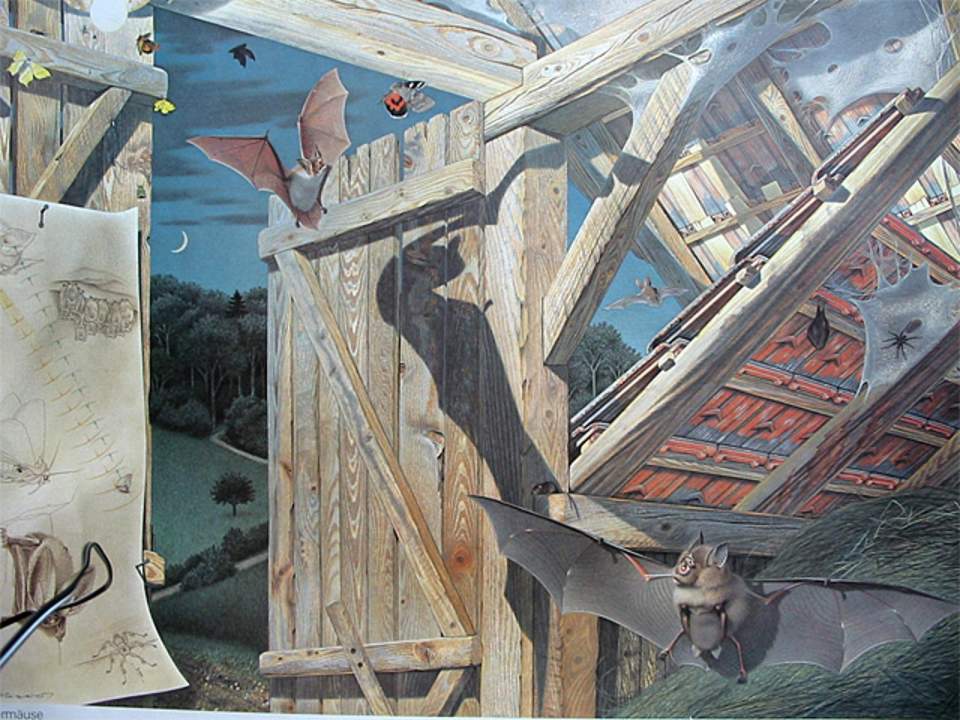 Schulwandbild des Schweizerischen Lehrervereins