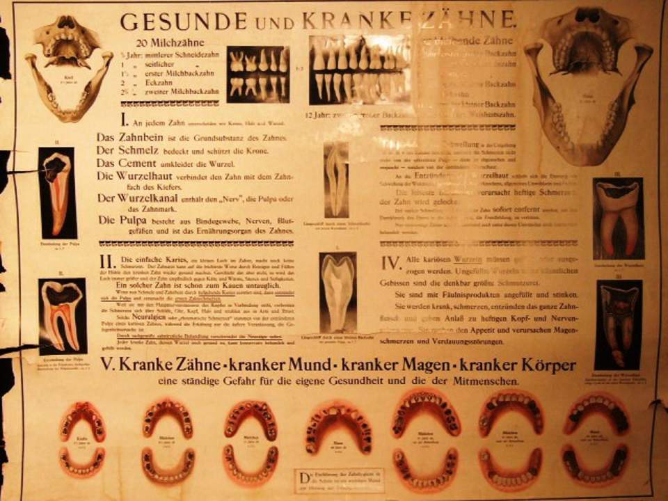 Wandbild, Karte "Zähne"