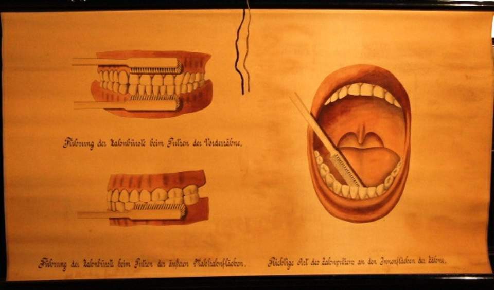 Schulwandbild, Wandkarte "Führung der Zahnbürste"