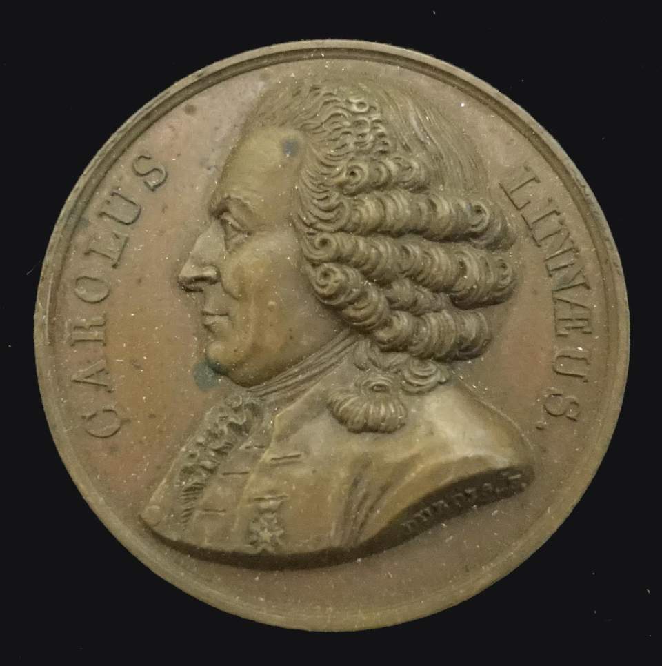 Medaille Karl Linne, schwed. Naturforscher 1707 - 1778, Uppsala