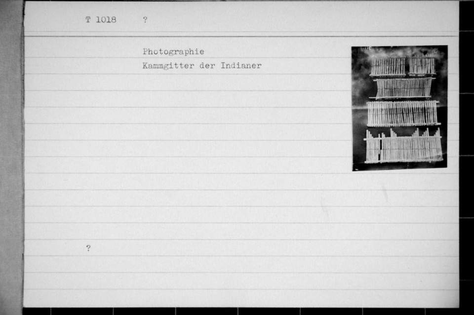 Fotografie, Kammgitter der Indianer