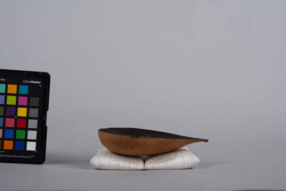 Kürbis-Schöpfer
