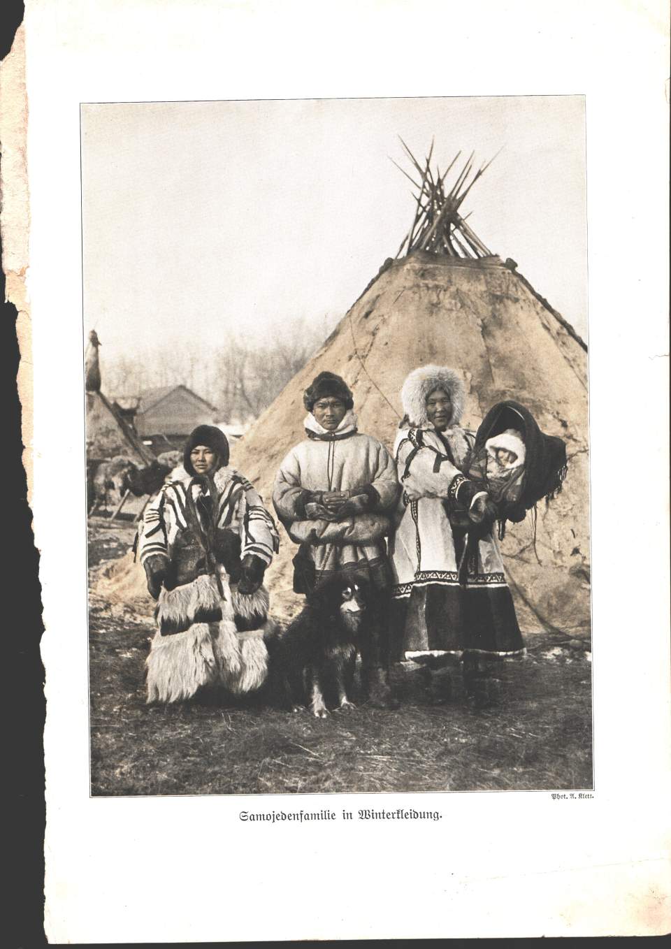 Fotographie, "Samojedenfamilie in Winterkleidung"