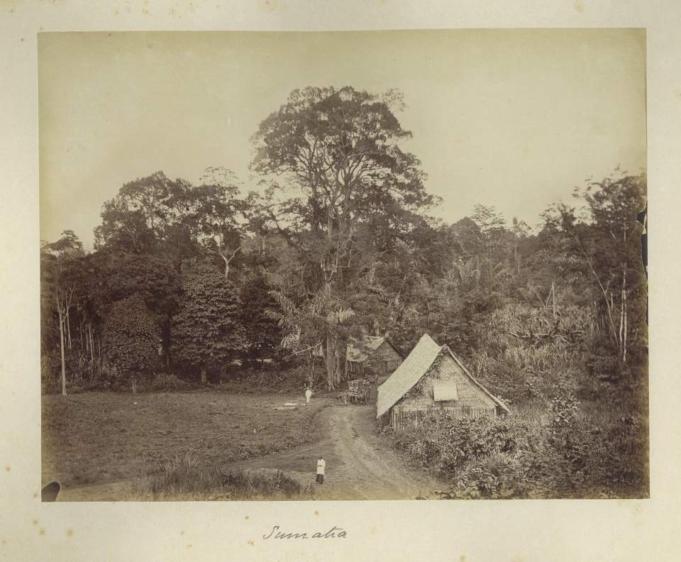 Forografie, Sumatra