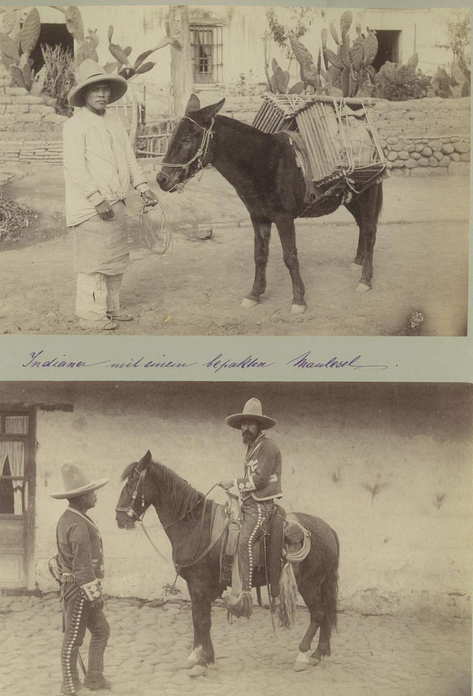 2 Fotografien, Indianer mit Maulesel, Gendarm zu Pferd