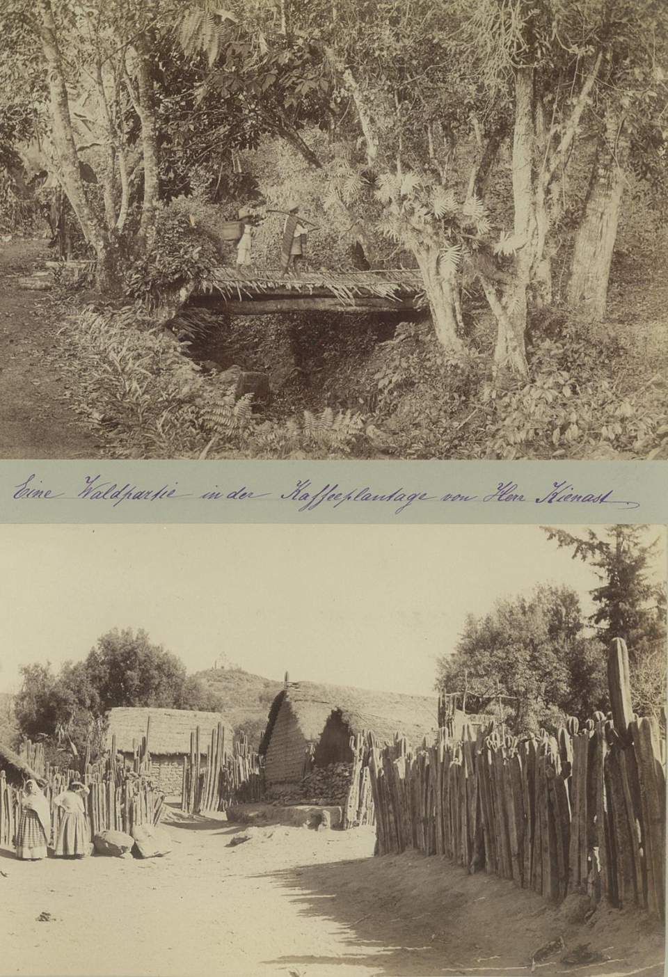 2 Fotografien, Waldpartie mit Brücke, Indianerdorf, Mexiko