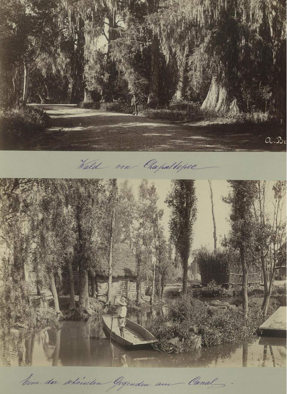 2 Fotografien, Zedernwald, Kanal mit Boot, Mexiko