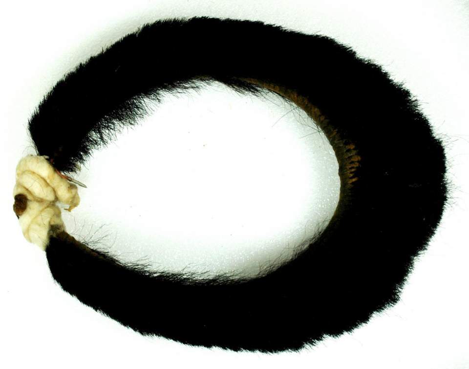 Kopfschmuck, Reif aus Bärenfell