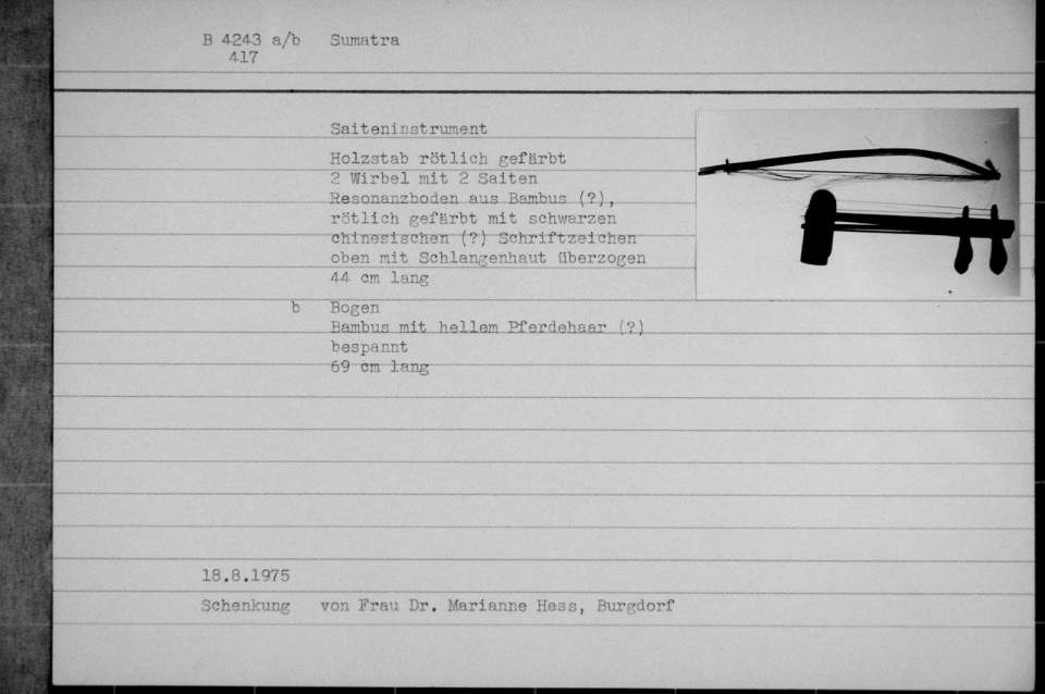 Saiteninstrument