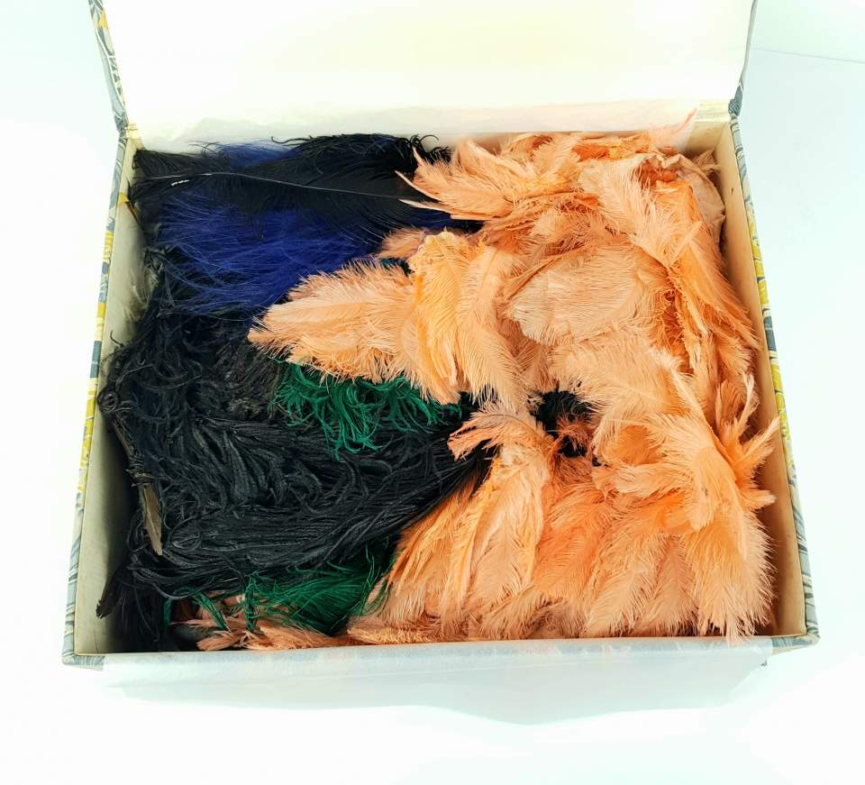 Federboas, Federn, Feder, Boa