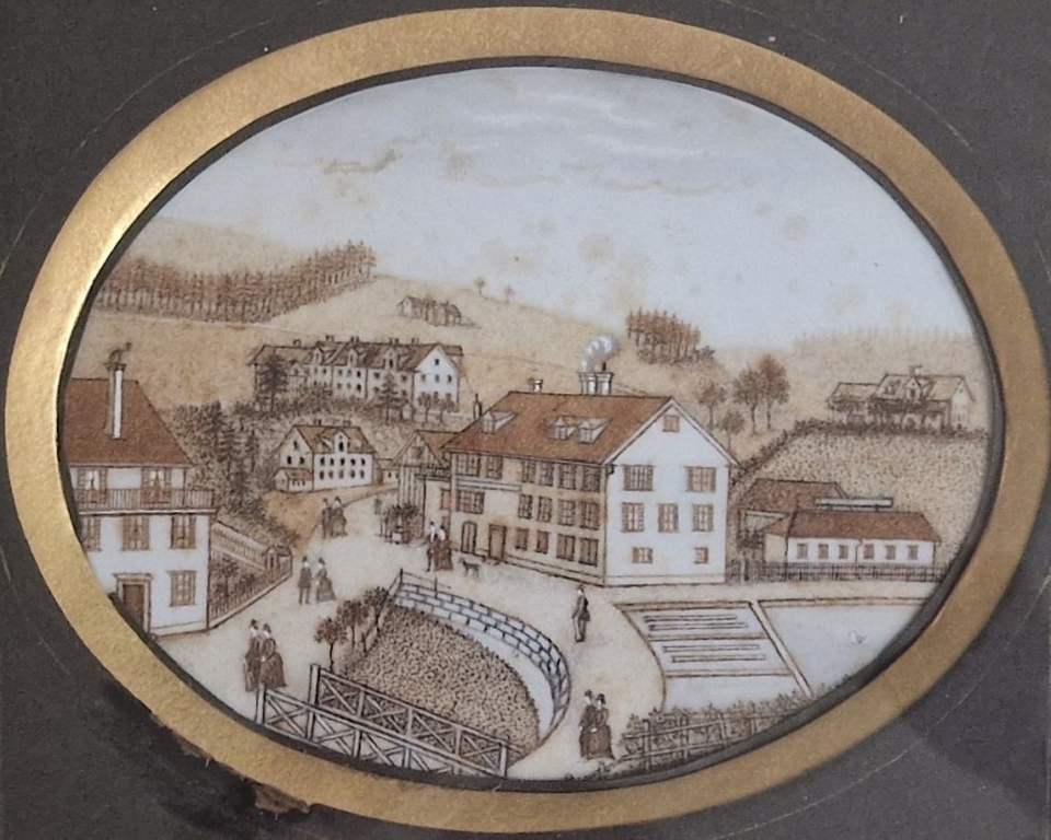 Haarbild mit Ansicht Mühlegg St. Georgen