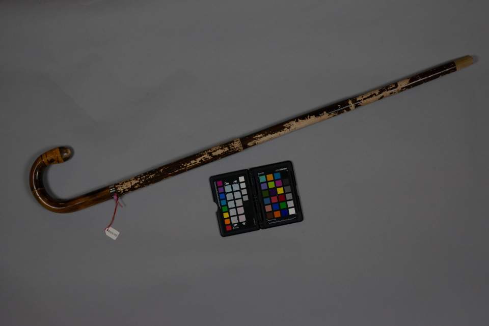 Gehstock mit integriertem Regenschirm, Stockschirm