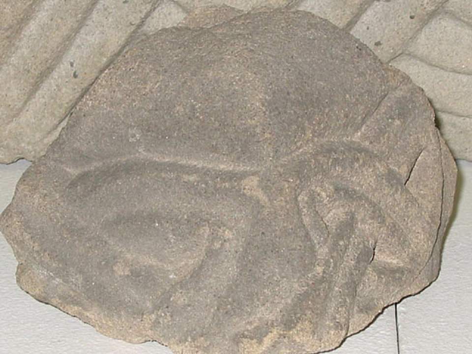 Fragment eines Kapitells